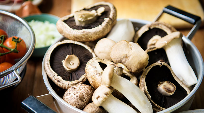Benefits of Using Mushrooms for Depression