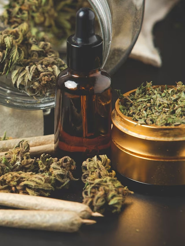 Write for Us CBD – Submission Guidelines