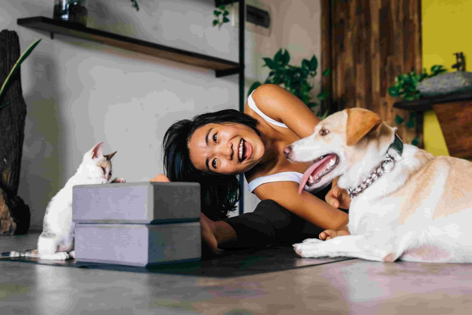Healthy Pets Support Healthier Households
